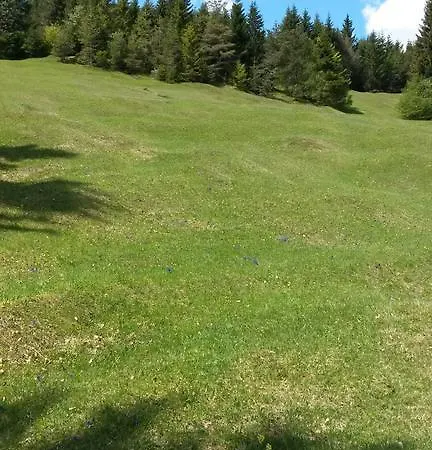 Haus Bader Apartment